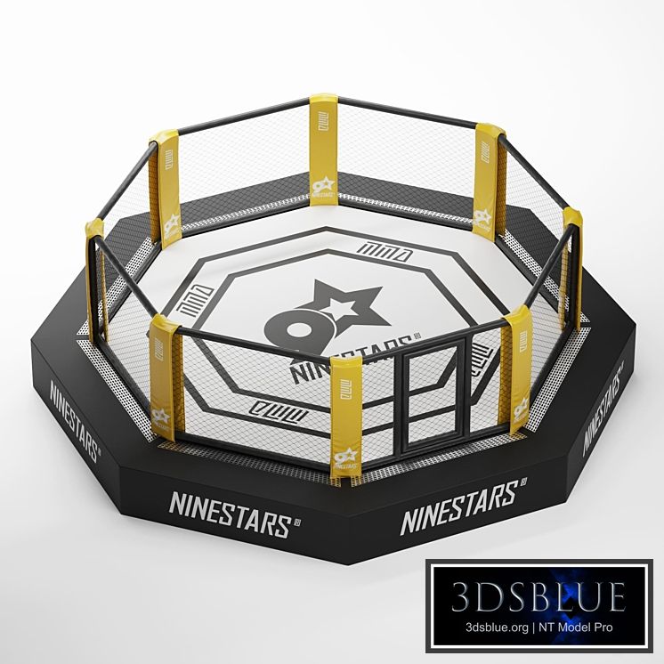 MMA arena octagon