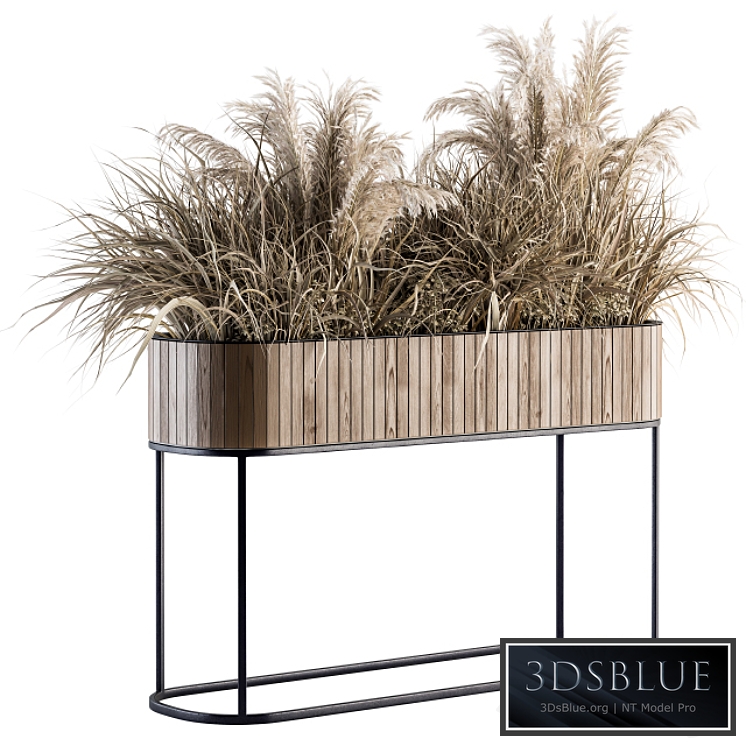 indoor Plant Set 122- Dried Plants in Wood Stand