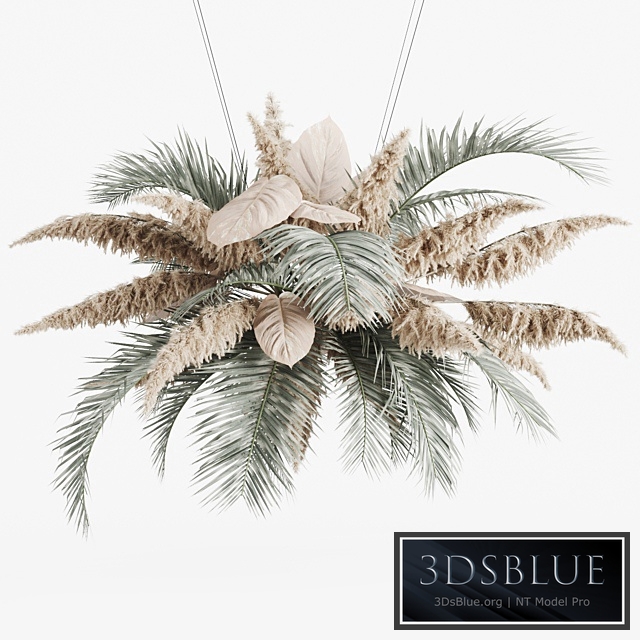 Hanging decor of palm leaves and pampas grass