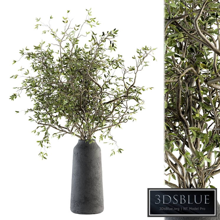 Bouquet - Green Branch in vase 40