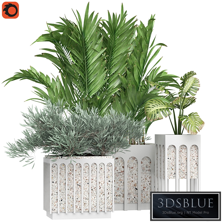 Flower Pack 166C* .obj / .mtl included.  A set of plants for exterior and interior visualization of restaurants, cafes, or any other interiors.  Attention! High-poly model. Save the 3D scene before importing.