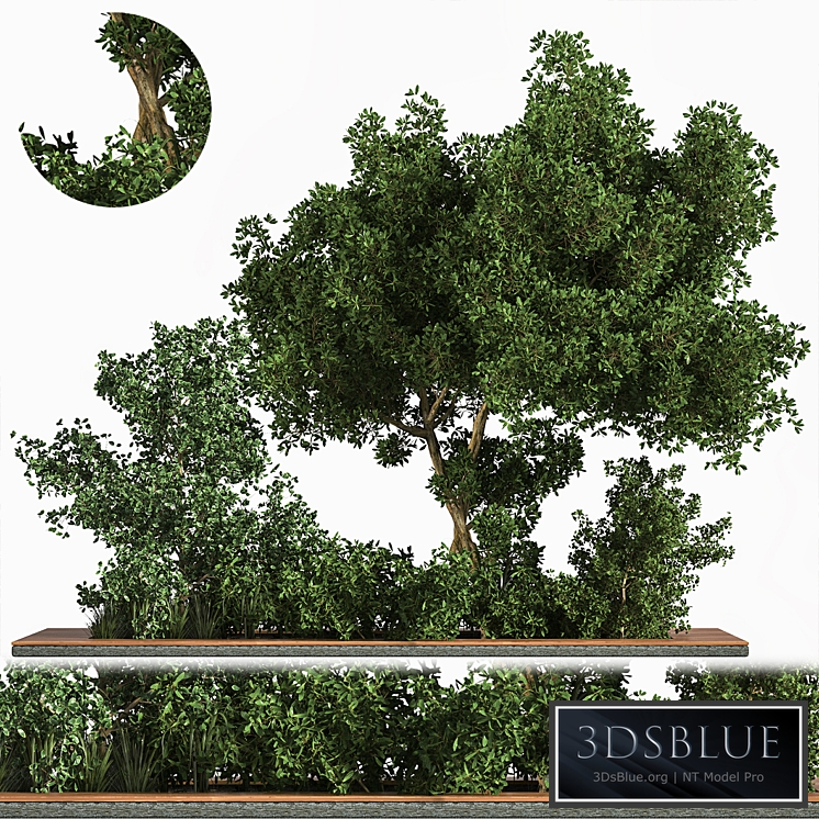 Garden Set Grass Tree