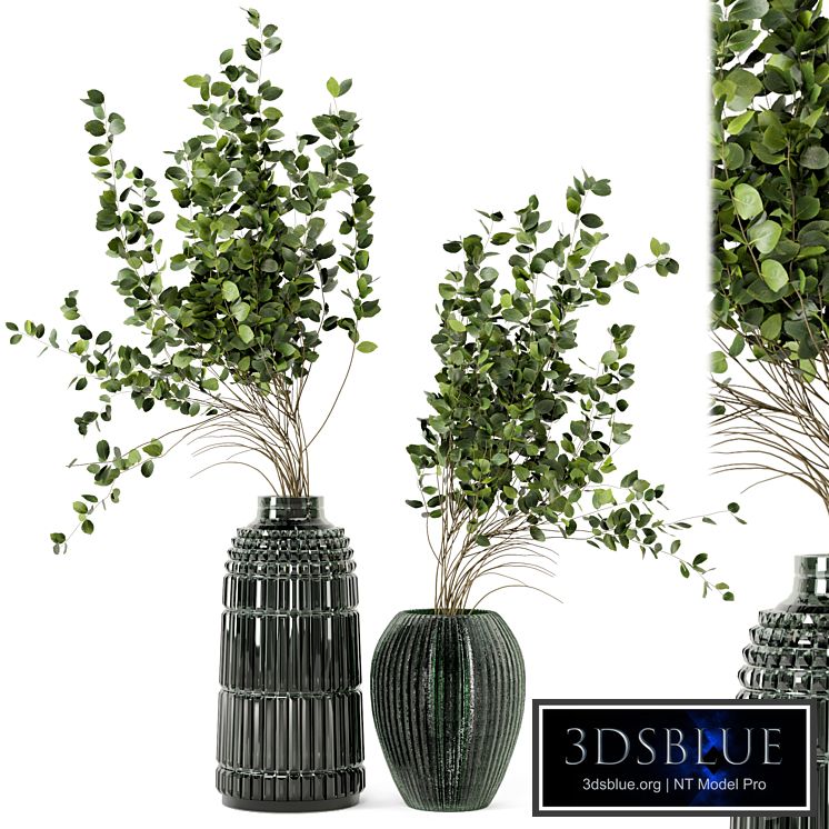 Indoor Plants In Handmade Glass Pot - Set 94