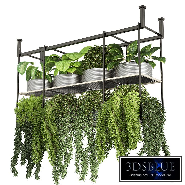 collection Indoor plants hanging pot-metal bax vase 04