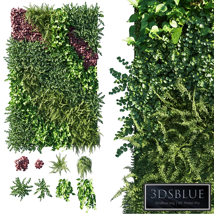 Vertical Garden Green Wall 09