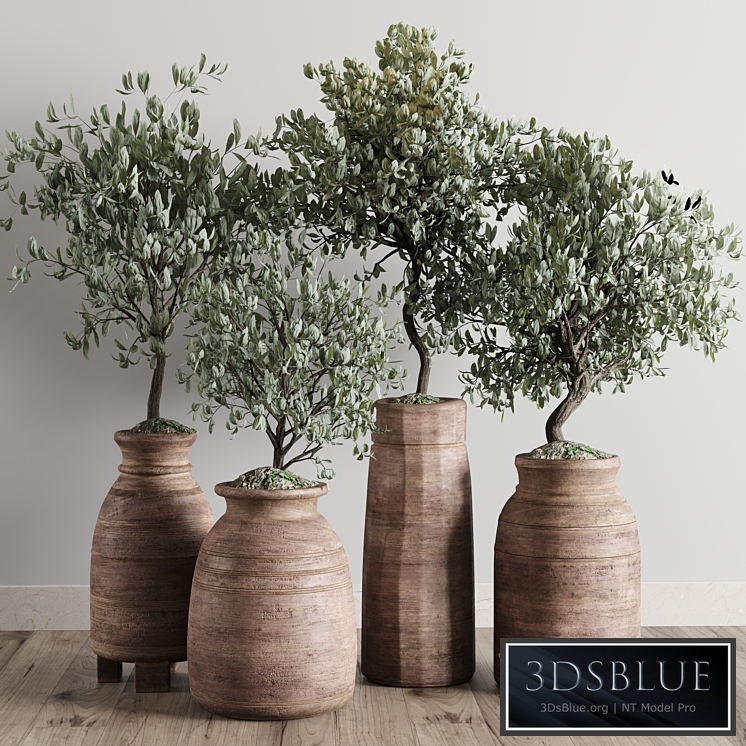 collection outdoor plant 19 -wood old vase