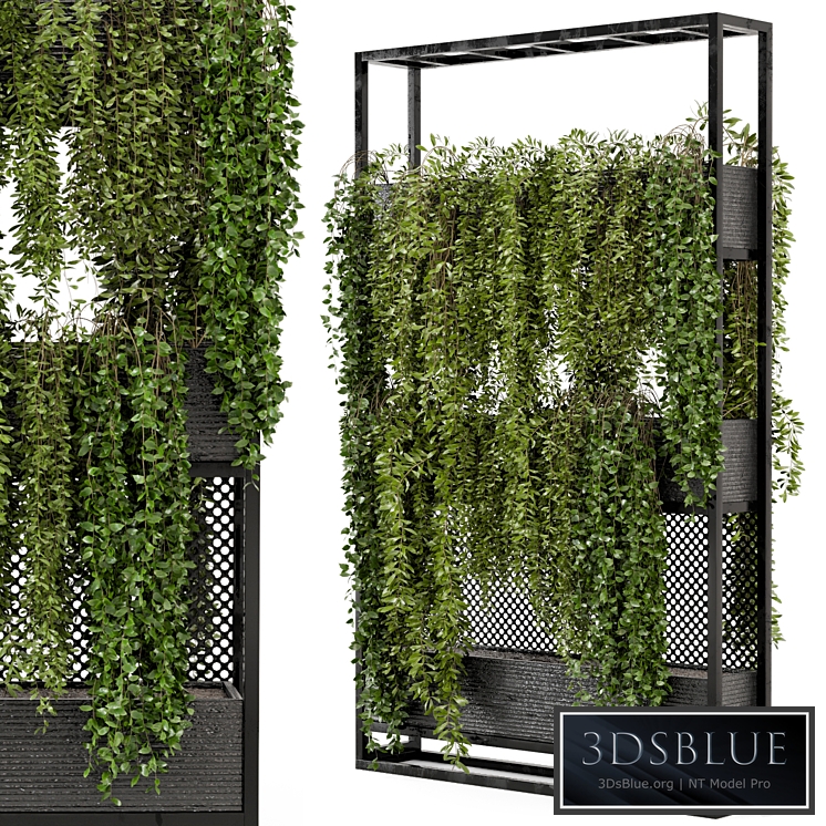 Indoor Hanging Plants in Metal Stand - Set 100