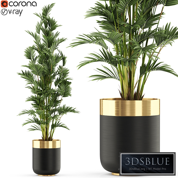 Plants collection 471