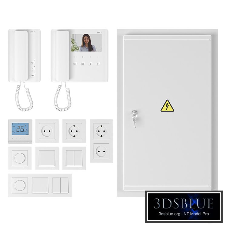 Home electrician (Schneider Electric, Came)