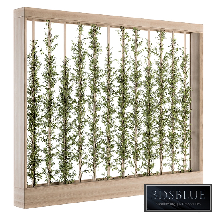 Vertical Garden Wood Frame - Plants Partition 22