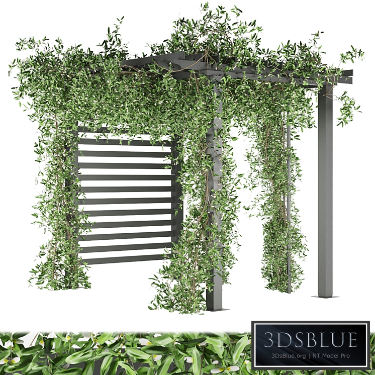 Collection plant vol 143