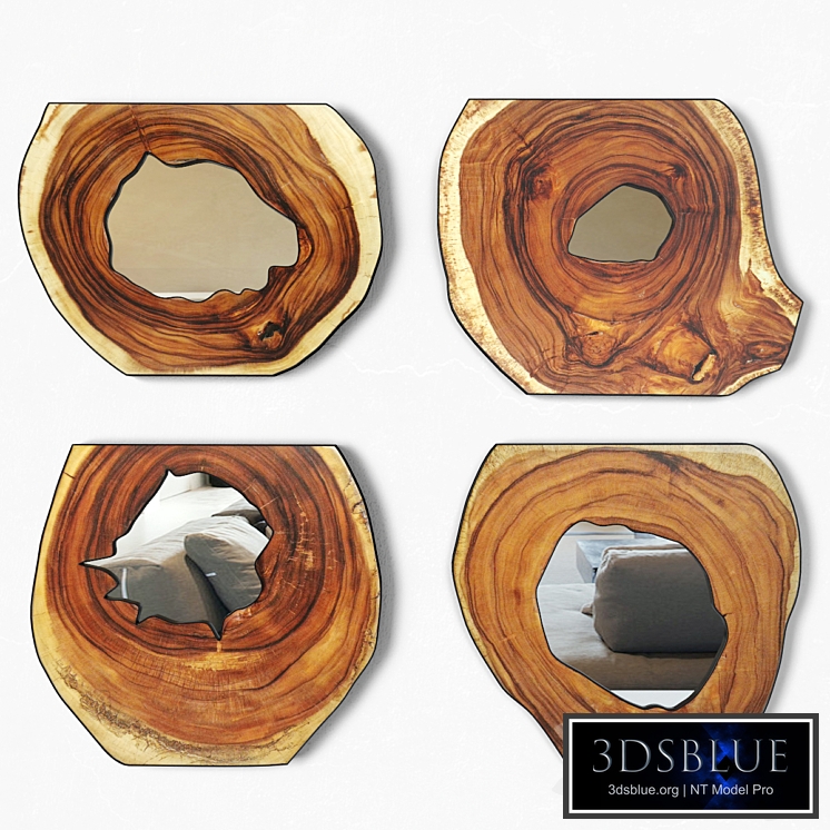 Organic Monkey Pod Mirrors 2