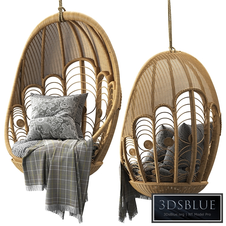 Peacock hanging chair