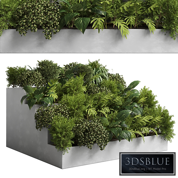 collection outdoor plant 22 - stairs concrete vase