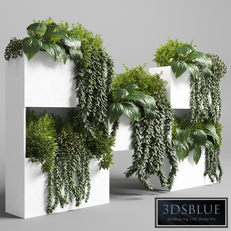 Collection Indoor plant-plant stand white concrete vase set 05