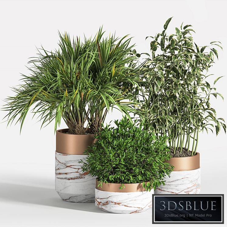 Indoor Plant Set 16