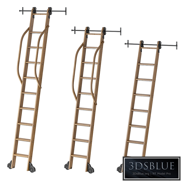 Custom Service Hardware Rolling Library Ladder
