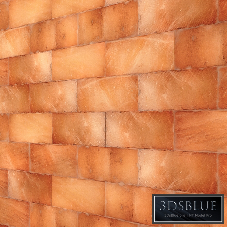 Himalayan salt wall