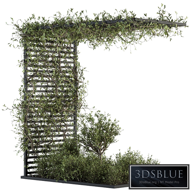 Garden set ivy and Bush - Garden Set 13