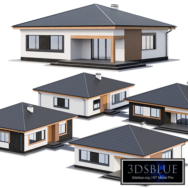 Modern one-storey cottage