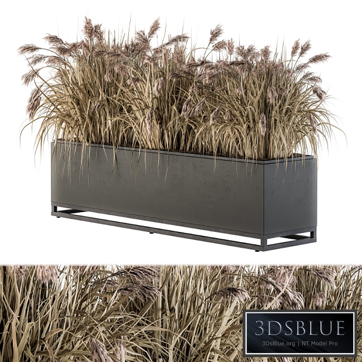 Outdoor Plant Set 184 - Plant Box Dried