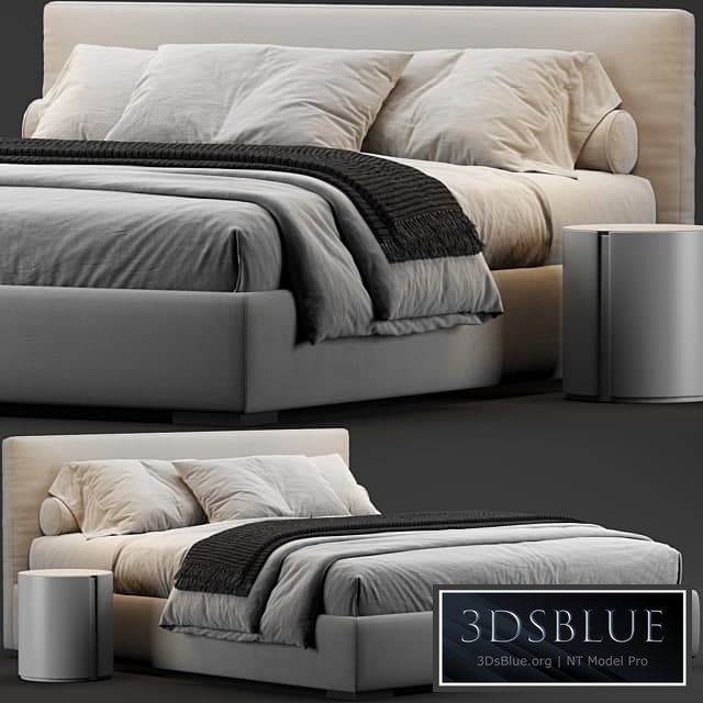 Meridiani Stone Bed