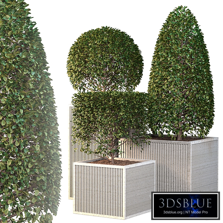 Outdoor plants - Bush vol2