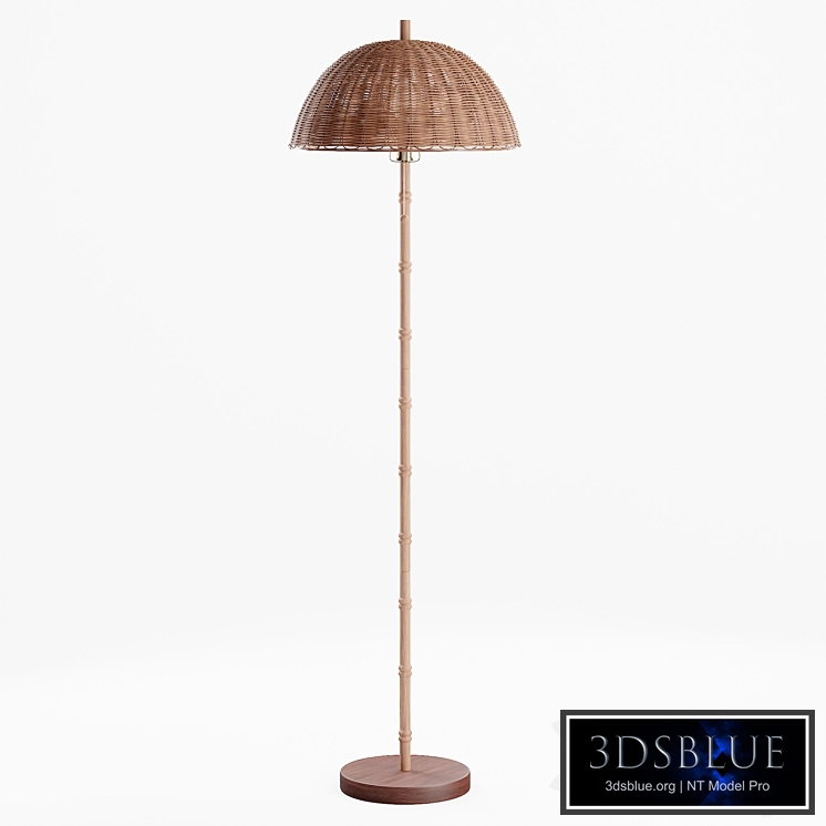 Willow Rattan Floor Lamp
