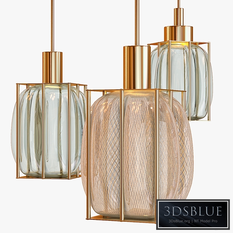 Mydriaz Lanternes Avec Jeremy Wintrebert