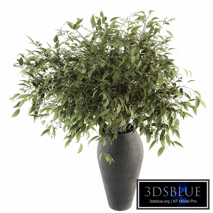 Bouquet - Green Branch in vase 45