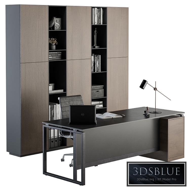 Office Furniture - Manager Set 21