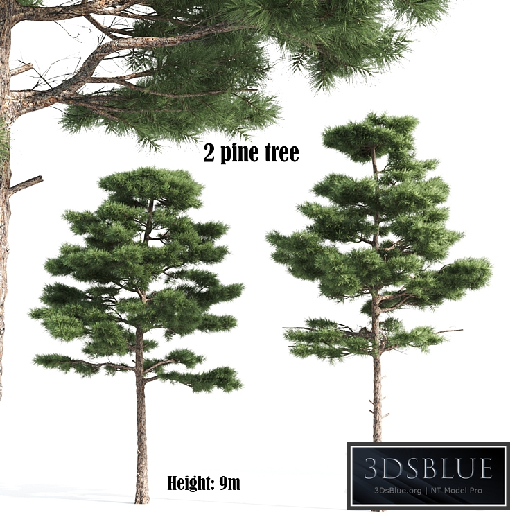 2 pine vray