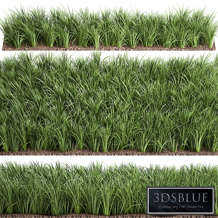 Lawn 941. grass, bushes, landscaping