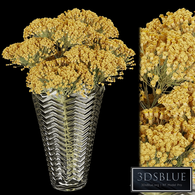 Collection plant vol 160