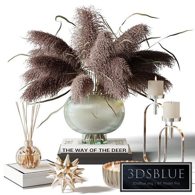 Dry herb in a glass vase - decorative set