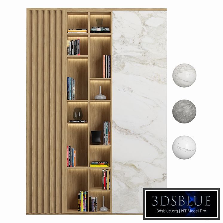 Cabinet with shelves02