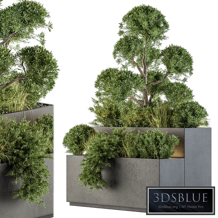 Outdoor Plant Set 214 - Plant Box