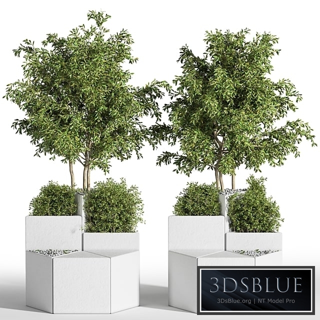 Outdoor Chair of The Shrub