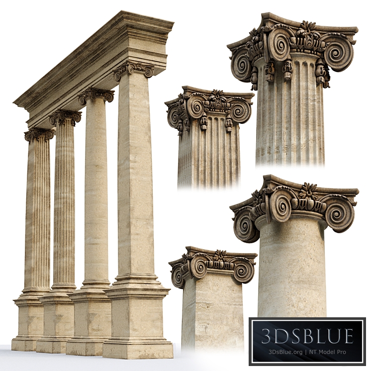 Ionic Order Scamozzi Column