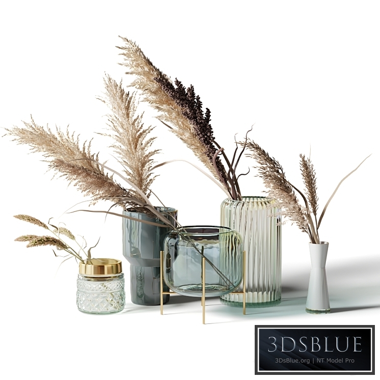 Set of 5 bouquets of dried flowers in glass vases