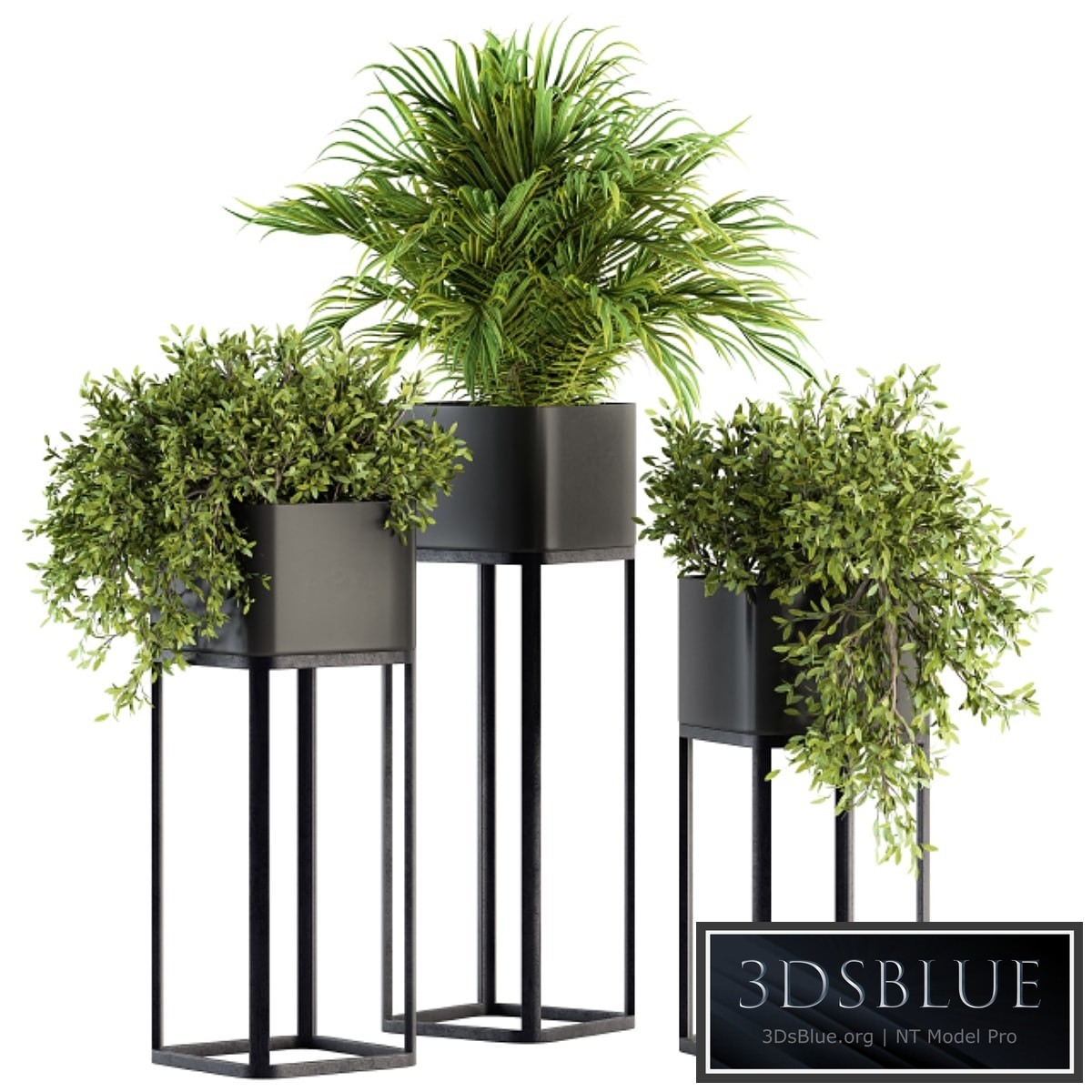 indoor Plant Set 211 - Plant Box Stand