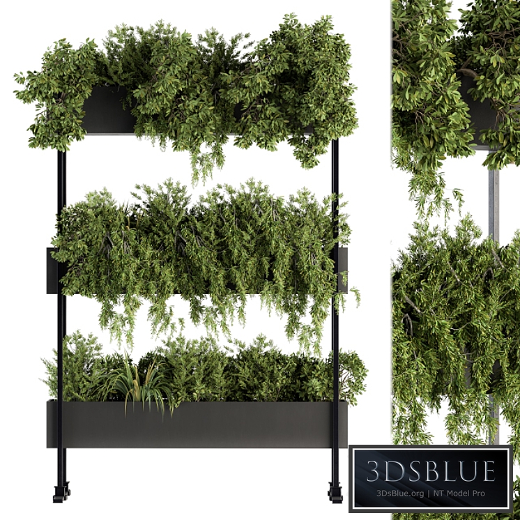 indoor Plant Set 215 -Plant Box Stand