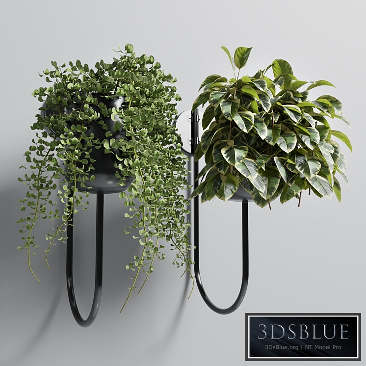 Indoor plant plant wall metal vase 01