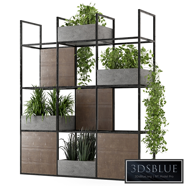 Indoor Plants in rusty Concrete Pot on Metal Shelf - Set 122