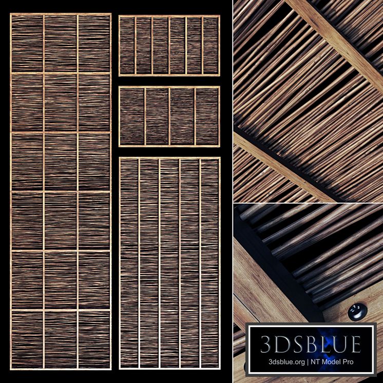 Ceiling thin branch crooked n1