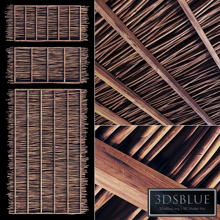 Ceiling thick branch crooked n1