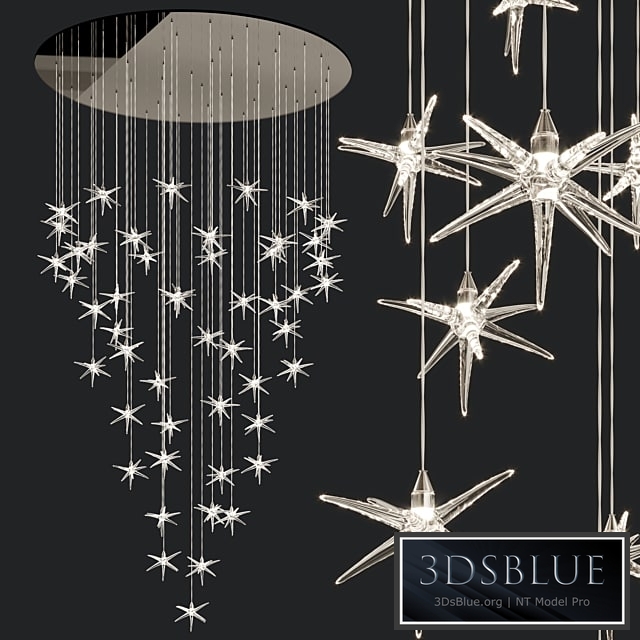 Reflex Angelo Stella 50 stars