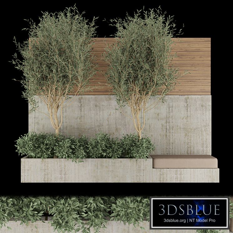 Collection plant vol 196