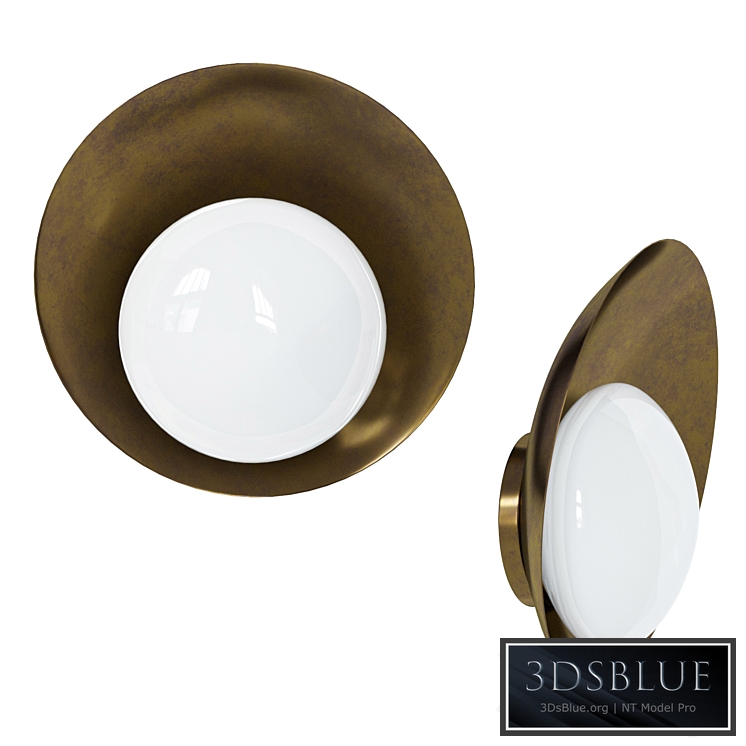 Brass Wall Lights "Concha" by Gallery L7