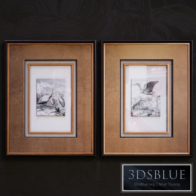 Antique Birds pictures